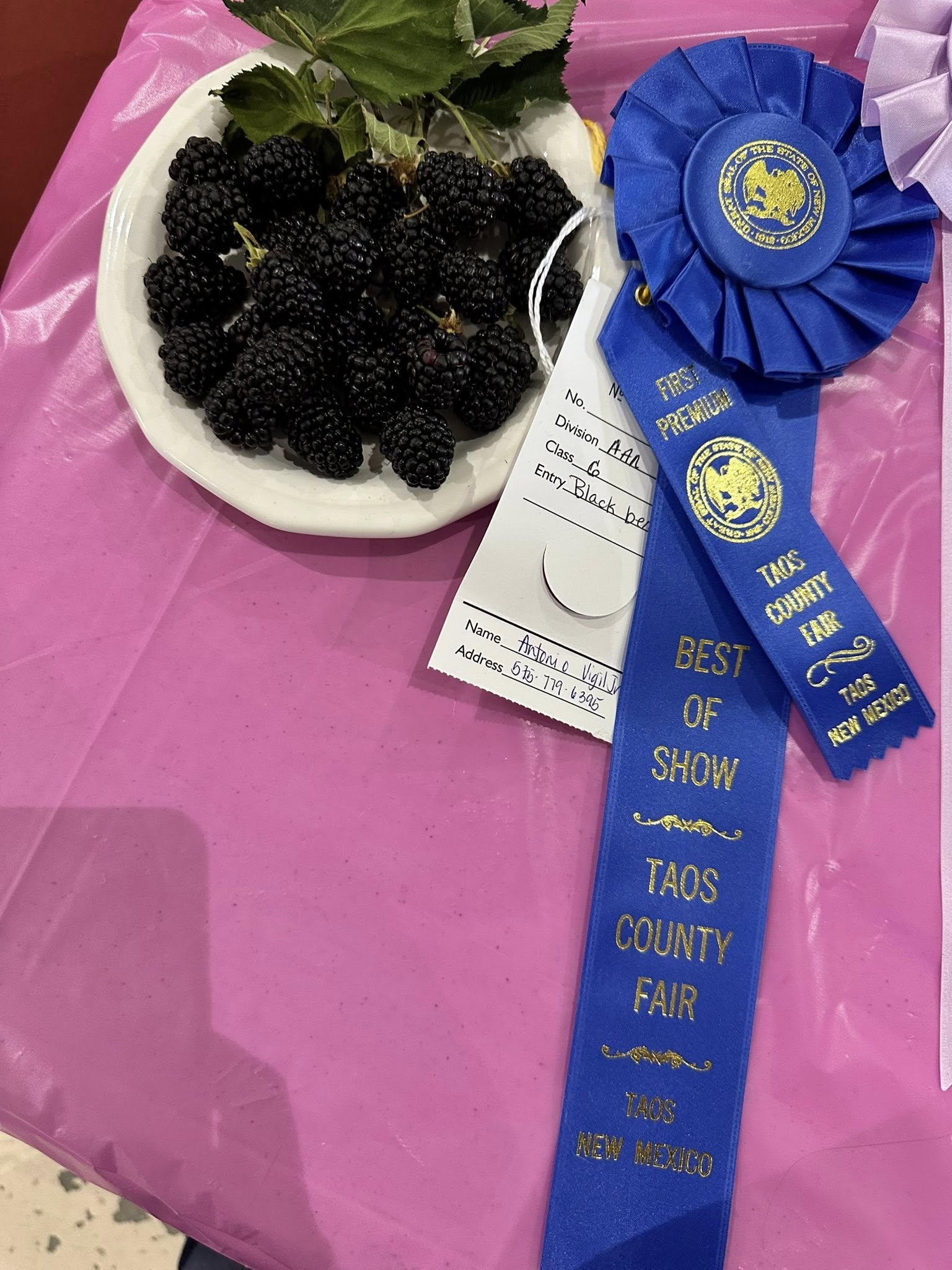 Quilting Division '23-Taos County Fair-Juan I. Gonzales Agricultural Center-Taos, NM